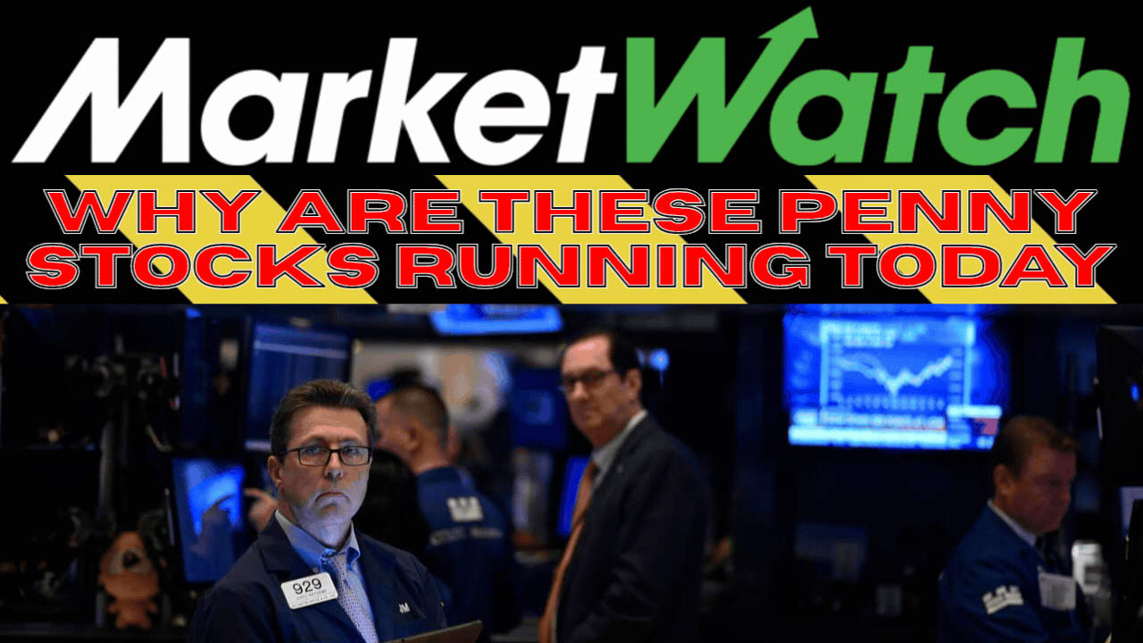 RMSG MIGI SNAL MIMI stock alerts showing triple digit gains in 2026 following early retail trading signals